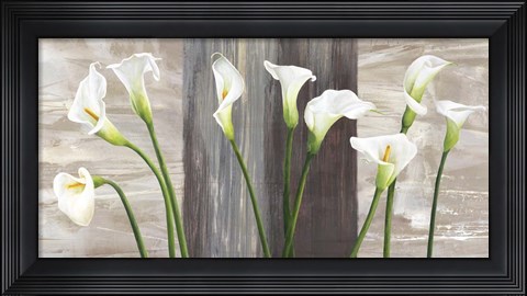 Framed Country Callas Print