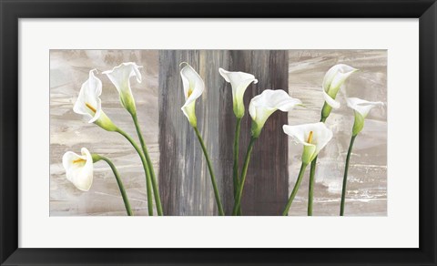 Framed Country Callas Print