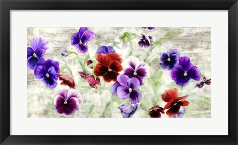 Framed Field of Pansies Print