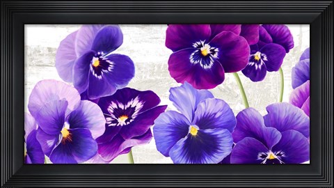 Framed Dance of Pansies Print