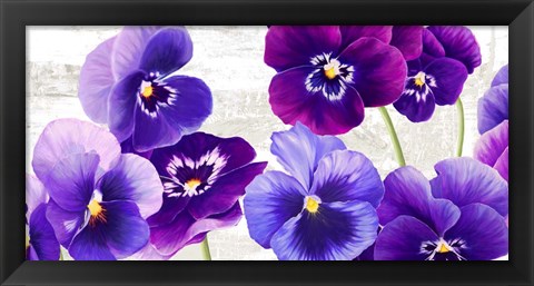 Framed Dance of Pansies Print