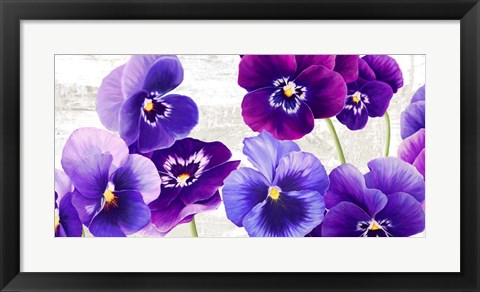 Framed Dance of Pansies Print