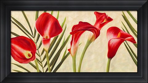 Framed Red Callas Print