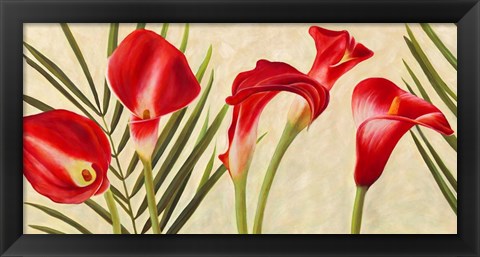 Framed Red Callas Print