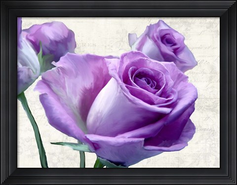 Framed Porcelain Print