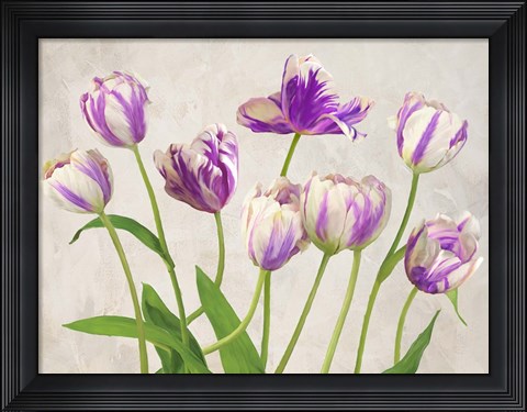 Framed Tulipes Print