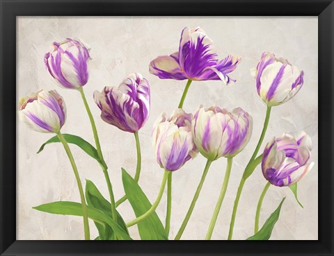 Framed Tulipes Print