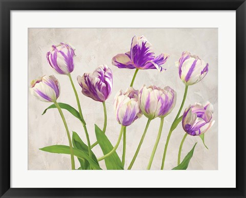 Framed Tulipes Print