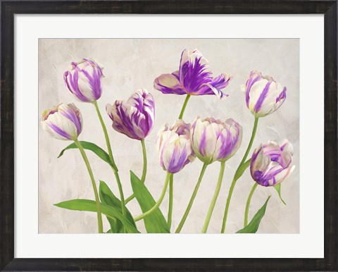 Framed Tulipes Print