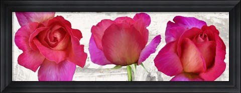 Framed Spring Roses Print