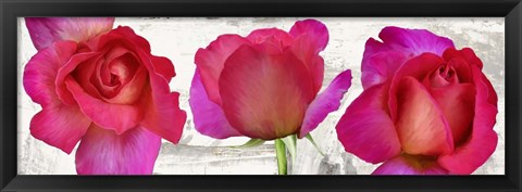 Framed Spring Roses Print