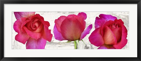 Framed Spring Roses Print