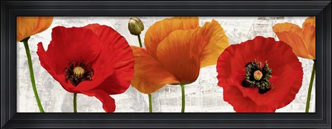 Framed Summer Poppies Print