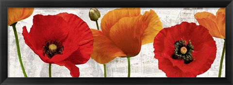 Framed Summer Poppies Print