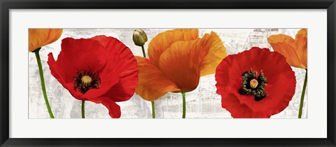 Framed Summer Poppies Print