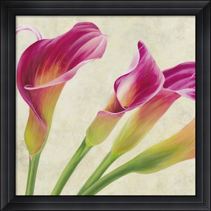 Framed Calla Parade (Detail) Print