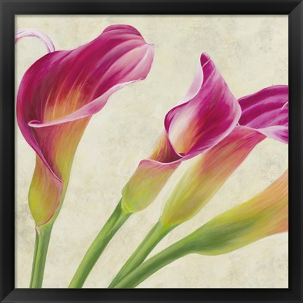 Framed Calla Parade (Detail) Print