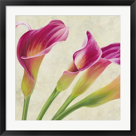 Framed Calla Parade (Detail) Print