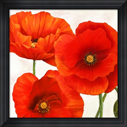 Framed Poppies I Print