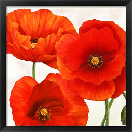 Framed Poppies I Print