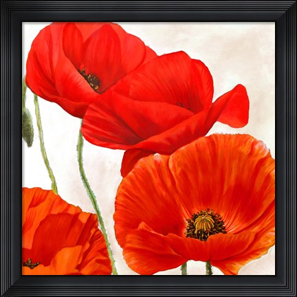 Framed Poppies II Print
