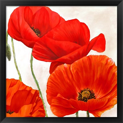 Framed Poppies II Print