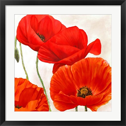 Framed Poppies II Print