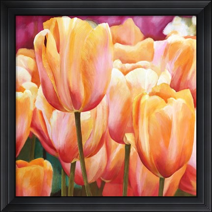 Framed Spring Tulips I Print
