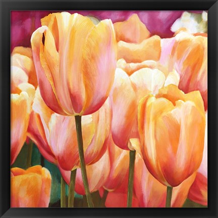 Framed Spring Tulips I Print