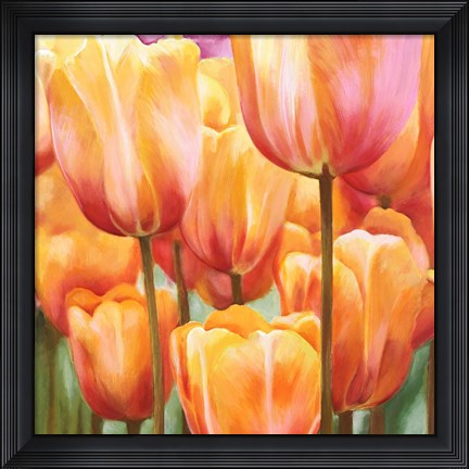 Framed Spring Tulips II Print