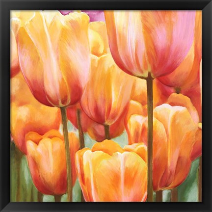 Framed Spring Tulips II Print