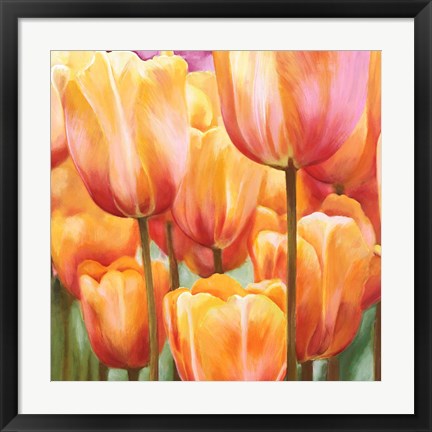 Framed Spring Tulips II Print