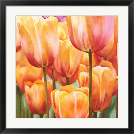 Framed Spring Tulips II Print