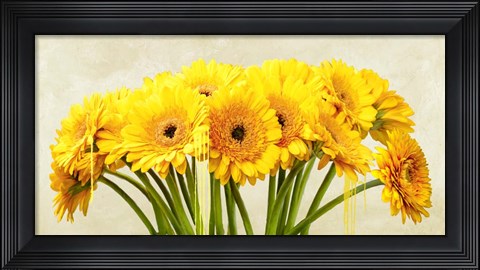 Framed Gerbera Abstraction Print
