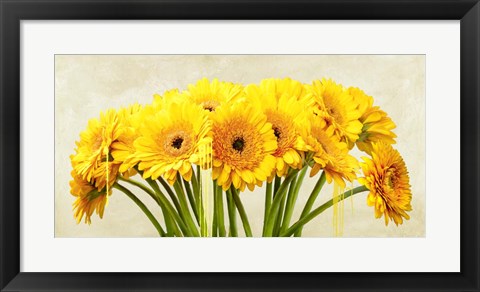 Framed Gerbera Abstraction Print