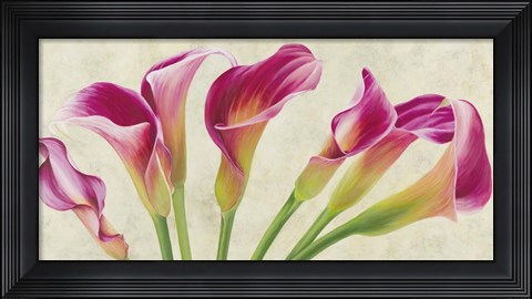 Framed Calla Parade Print