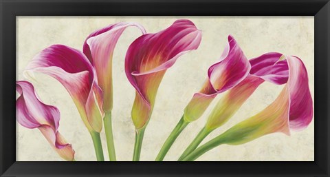 Framed Calla Parade Print