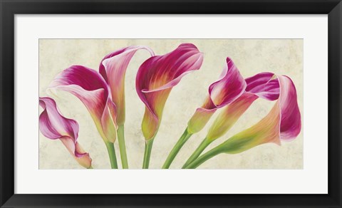 Framed Calla Parade Print