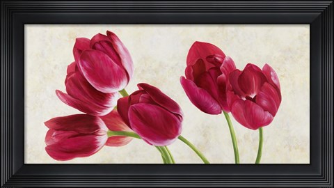 Framed Tulip Concerto Print