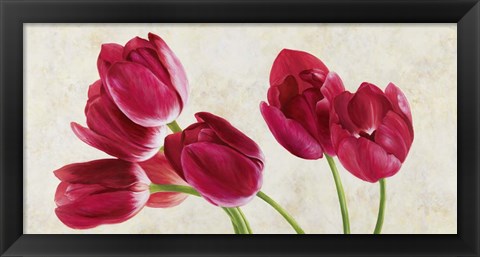 Framed Tulip Concerto Print