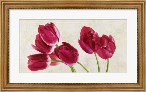 Framed Tulip Concerto Print