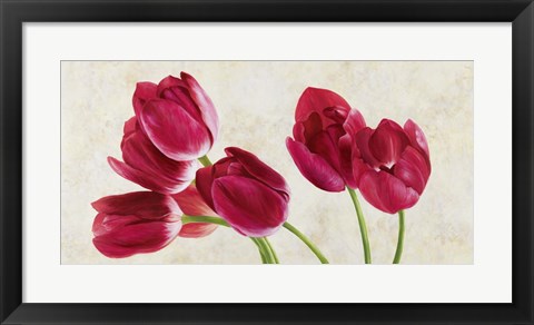 Framed Tulip Concerto Print