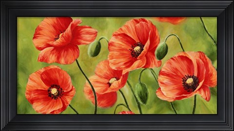 Framed Field of Poppies Print