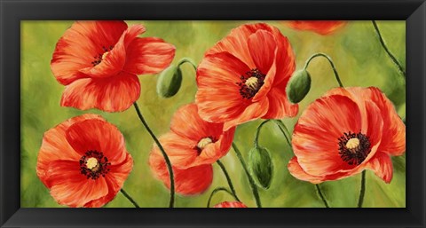 Framed Field of Poppies Print