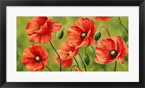 Framed Field of Poppies Print