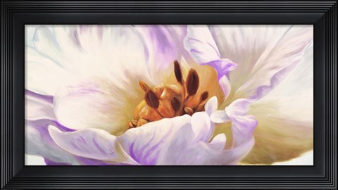 Framed Tulipe Print