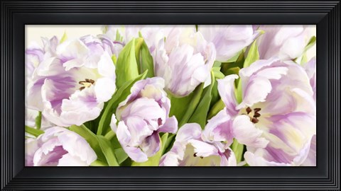 Framed Tulipes en Fleur Print