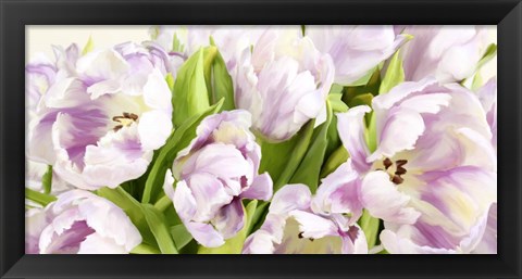 Framed Tulipes en Fleur Print