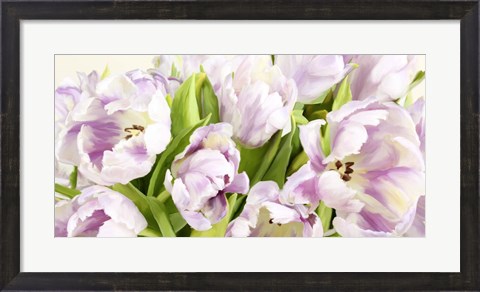 Framed Tulipes en Fleur Print
