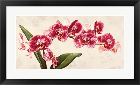 Framed Purple Queens Print